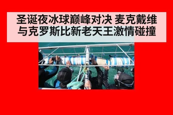 圣诞夜冰球巅峰对决 麦克戴维与克罗斯比新老天王激情碰撞